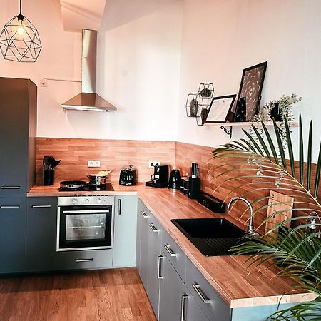 Oasis Appart - Wohnen Im Koenigspark - Elbhang Dresden - Grosse Terrasse - Netflix - Tg Екстериор снимка