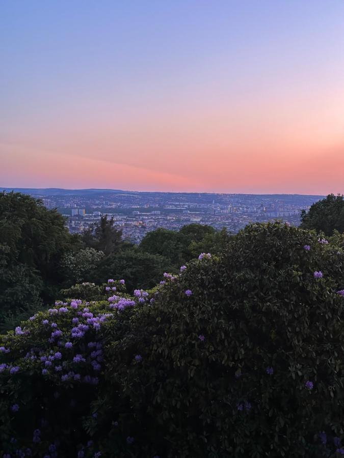 Oasis Appart - Wohnen Im Koenigspark - Elbhang Dresden - Grosse Terrasse - Netflix - Tg Екстериор снимка