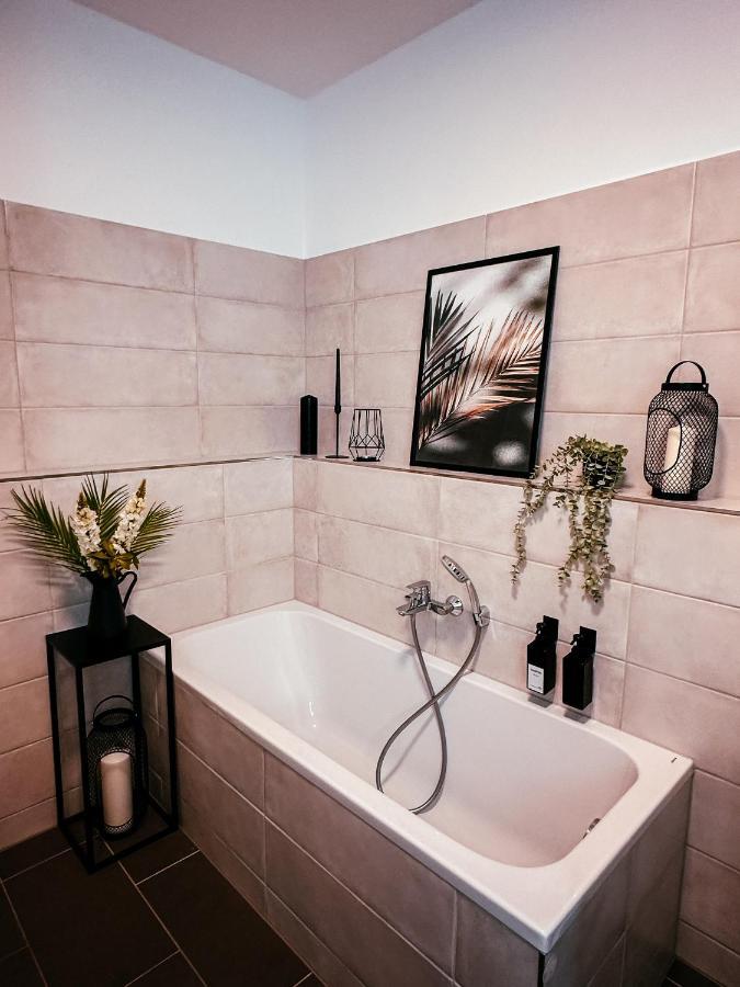 Oasis Appart - Wohnen Im Koenigspark - Elbhang Dresden - Grosse Terrasse - Netflix - Tg Екстериор снимка