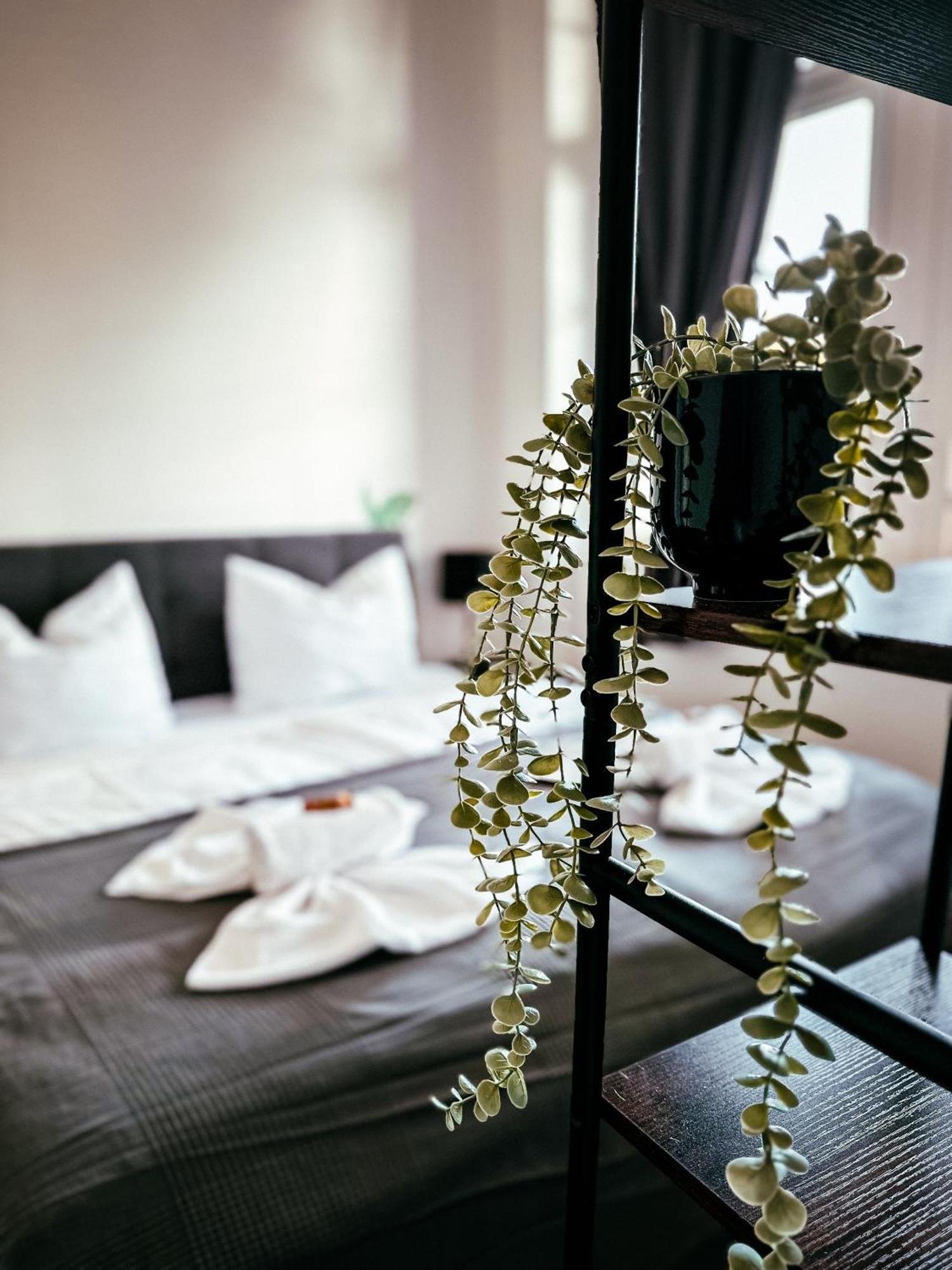 Oasis Appart - Wohnen Im Koenigspark - Elbhang Dresden - Grosse Terrasse - Netflix - Tg Екстериор снимка