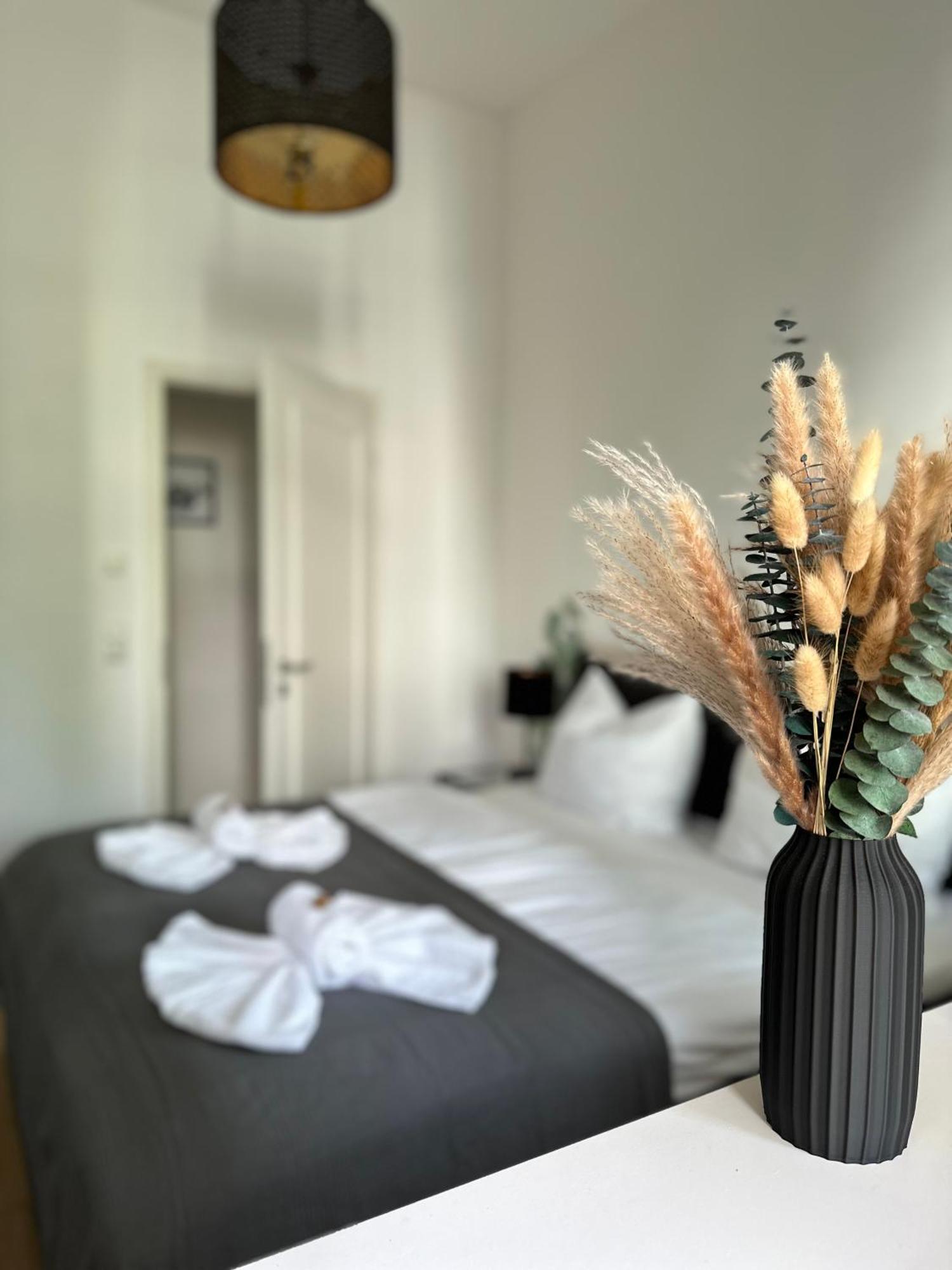 Oasis Appart - Wohnen Im Koenigspark - Elbhang Dresden - Grosse Terrasse - Netflix - Tg Екстериор снимка