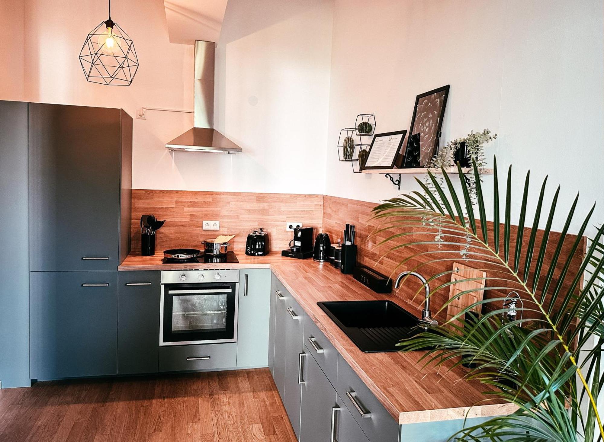 Oasis Appart - Wohnen Im Koenigspark - Elbhang Dresden - Grosse Terrasse - Netflix - Tg Екстериор снимка