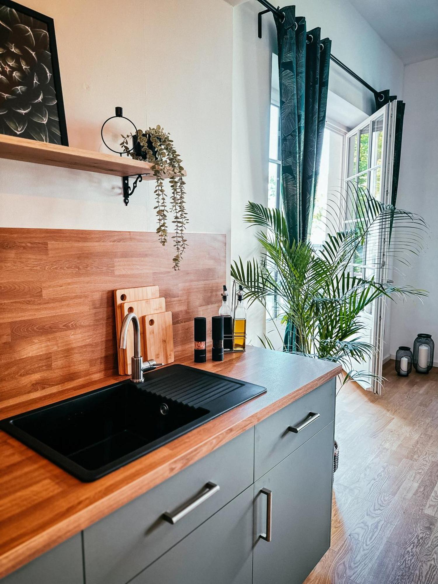 Oasis Appart - Wohnen Im Koenigspark - Elbhang Dresden - Grosse Terrasse - Netflix - Tg Екстериор снимка
